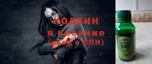 ГАЛЛЮЦИНОГЕННЫЕ ГРИБЫ Алзамай