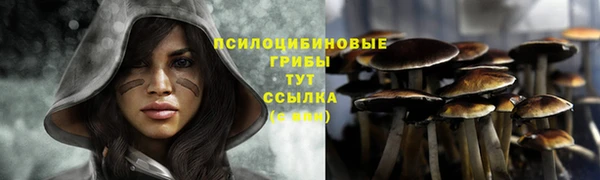 ALPHA PVP Алексеевка