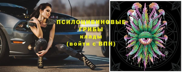 прущая мука Абаза