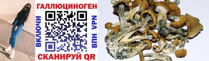 Галлюциногенные грибы MAGIC MUSHROOMS  Якутск 